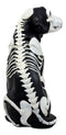 Day Of The Dead Bone Skeleton Dog Statue 7.5"H X-Ray Canine Skeleton Anatomy