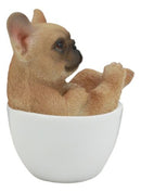 Realistic Mini French Bulldog Puppy Teacup Statue Pet Pal Dog Resin Figurine