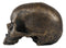 Ebros Pirate Treasure Relic Gold Rust Severed Upper Half Skull Figurine Statue