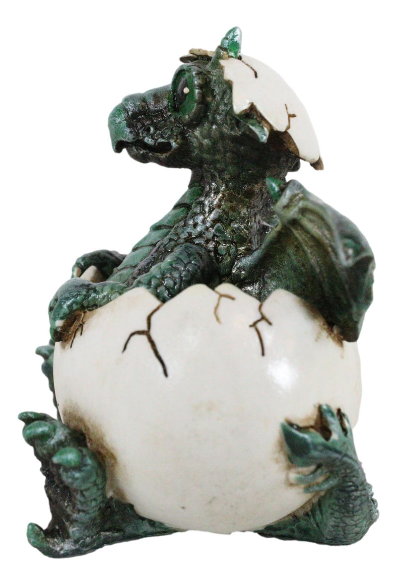 Small Green Whimsical Dragon Baby Hatchling In Egg Statue Fantasy Dragon Egg