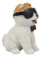 Sunglasses Boo The World's Cutest Pomeranian Dog Statue Pet Pal Dogs Collectible