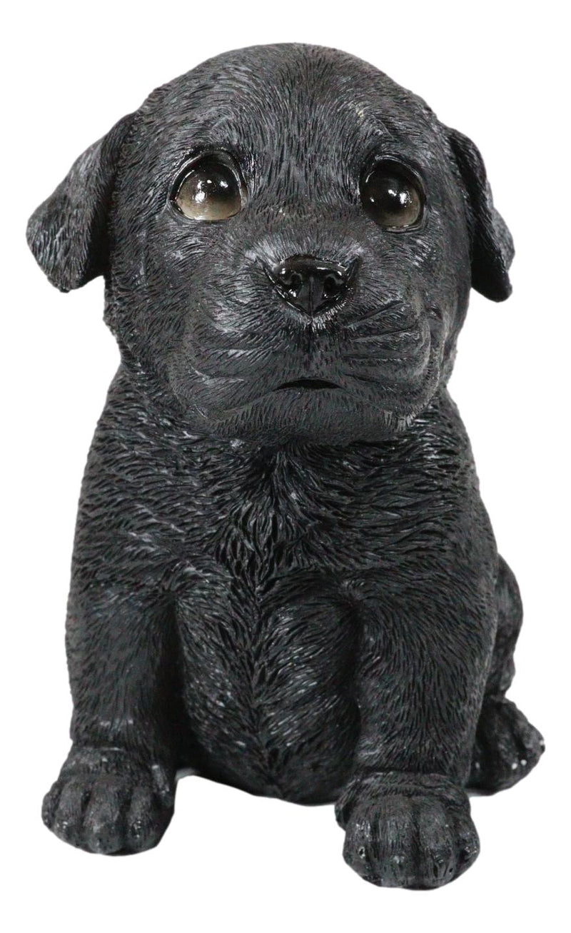 Sitting Adorable Black Labrador Retriever Puppy Dog Pet Pal Pooch Figurine