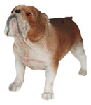 American Pedigree Dogs Lifelike Bulldog Bull Puppy Dog Miniature Figurine