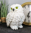 Arctic Tundra White Snow Owl Chick Cute Figurine 6"H Collectible Sculpture