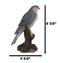 Realistic Hand Painted Eurasian Sparrowhawk Perching On Tree Stump Figurine