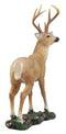 Ebros Wildlife 8 Point Trophy Buck Statue 15"H Outdoor Hunter Whitetail Deer Figurine