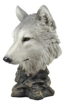 Realistic Large Gray Wolf Head Bust Statue 16"Tall Blood Lust Timberwolf Decor