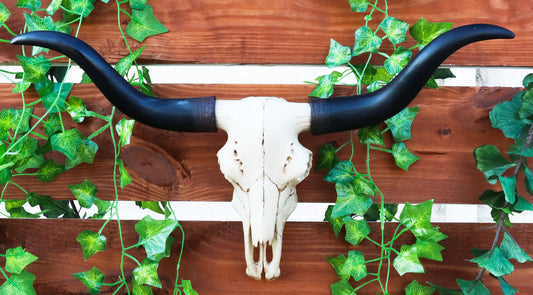 Ebros Texas Longhorn Steer Cattle Cow Skull Wall Hanging Plaque Figurine 21"L - Ebros Gift