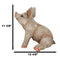 Large Country Farmhouse Adorable Realistic Animal Farm Babe Pig Sitting Statue