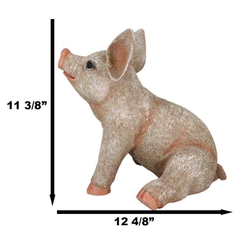 Large Country Farmhouse Adorable Realistic Animal Farm Babe Pig Sitting Statue