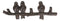 Cast Iron Rustic Western Lovebirds Perching On Twig Branch 3-Pegs Wall Coat Hook