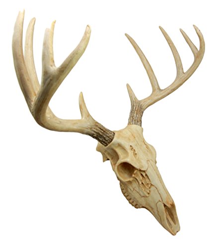 Ebros Rustic Hunter Rack Deer Skull Antler Wall Plaque Decor 10 Point Buck Figurine - Ebros Gift