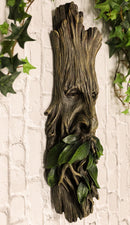 Ebros Celtic Greenman Enigma Face Wall Hanging Sculpture Decor 15" High