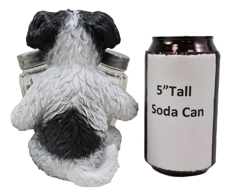 Ebros Hugging Pooch Shih Tzu Glass Salt Pepper Shakers Holder Figurine 6"Tall