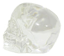 Ebros Small Clear Translucent Witching Hour Gazing Skull Acrylic Resin Cranium