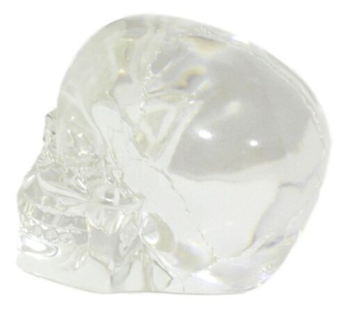 Ebros Small Clear Translucent Witching Hour Gazing Skull Acrylic Resin Cranium