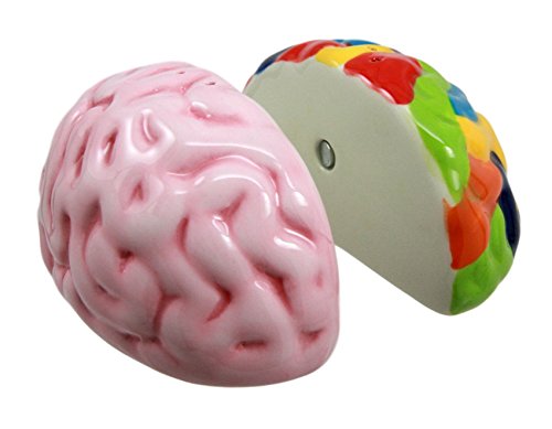 Ebros Right And Left Brains Magnetic Ceramic Salt Pepper Shakers Set 3.5"L