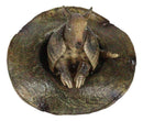 Western Rustic Texas Wild Armadillo Sitting in Cowboy Hat Decorative Figurine
