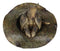 Western Rustic Texas Wild Armadillo Sitting in Cowboy Hat Decorative Figurine