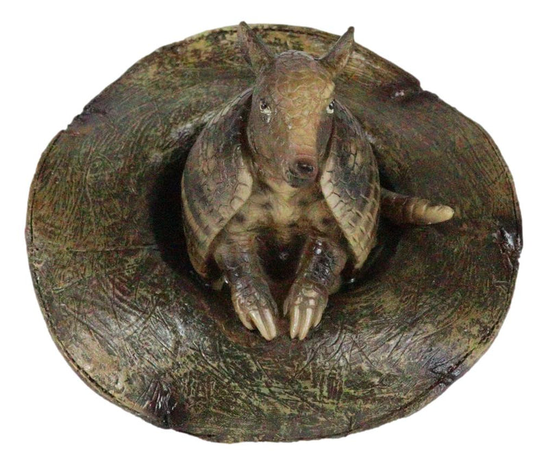 Western Rustic Texas Wild Armadillo Sitting in Cowboy Hat Decorative Figurine