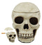 Day of The Dead Ossuary Human Skull Ashtray Statue Skeleton Cranium Jewelry Box