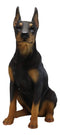 Ebros Lifelike Sitting Doberman Pinscher Statue 23.5"Tall Pedigree Dog With Glass Eyes