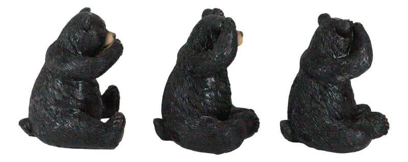 Set of 3 Wise See Hear Speak No Evil Black Bears Rustic Figurine Bear Animal