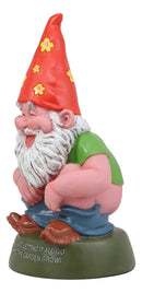 Butt Naked Defecating Fertilizers Organically Pooping Hippie Gnome Statue 12"H