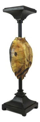 Large Nautical Reptile Exotic Turtle Shell Pillar Candle Holder Statue 17"High