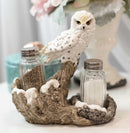Snow White Owlet Owl On Snowy Branch Glass Salt Pepper Shakers Holder Figurine