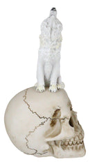 Gothic Full Moon Howling White Wolf Sitting On Graveyard Macabre Skull Figurine