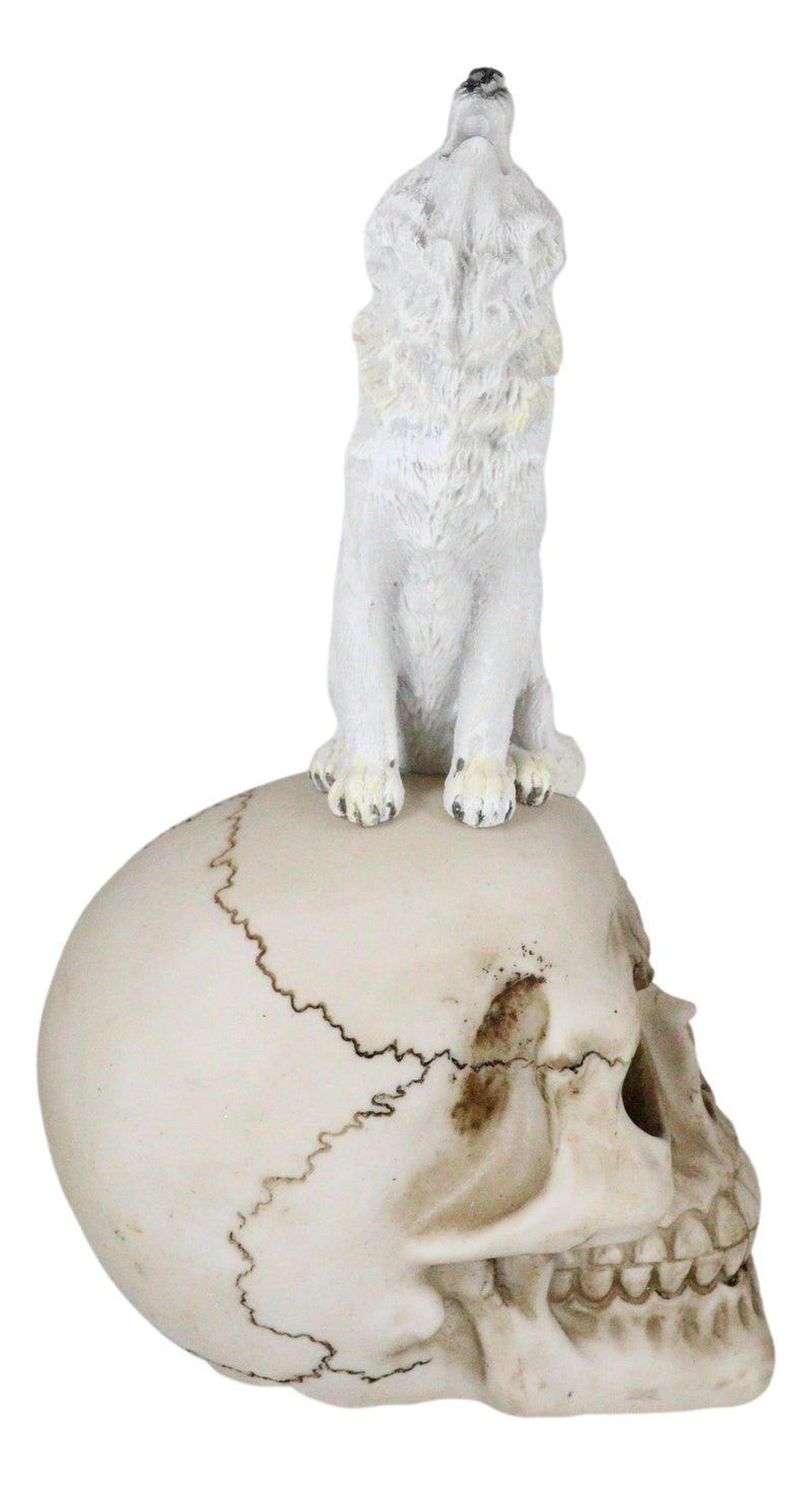 Gothic Full Moon Howling White Wolf Sitting On Graveyard Macabre Skull Figurine