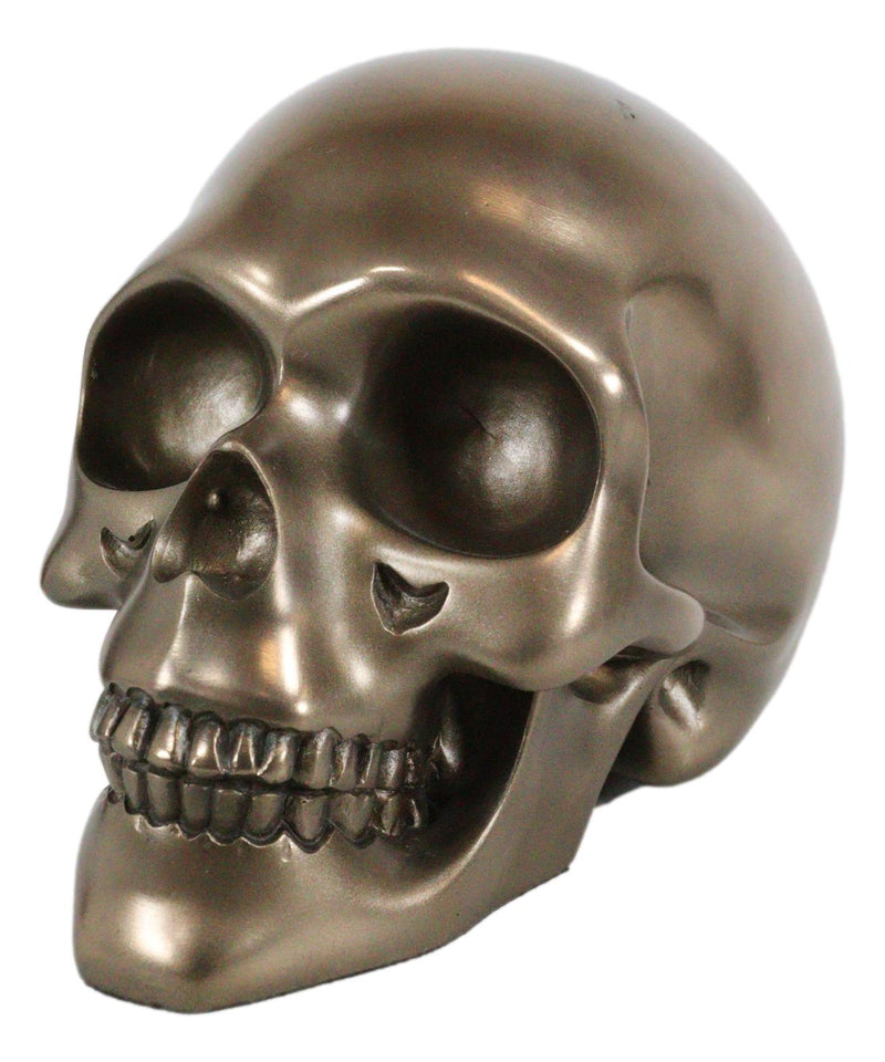 Pirate Tomb Treasure Bronze Cranium Skull Figurine Electroplated Resin Sculpture