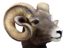 Rocky Mountains Bighorn Ram Trophy Taxidermy Wall Decor Sculpture Hanging Plaque