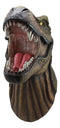 Large Prehistoric Jurassic King Dinosaur Tyrannosaurus Rex Wall Decor 13"H T-Rex