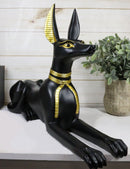 Ebros Large Ancient Egyptian Anubis Statue 19.75" Long