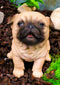 Ebros Adorable Begging Face Fawn Pug Puppy Dog Figurine Pet Pal Pugsy
