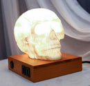 Mesoamerican Maya Aztec Skull LED Night Light Statue With USB Charging Wood Base