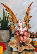Fantasy Autumn Fall Forest Monk Fairy Fae Blowing Wish Bubbles Figurine