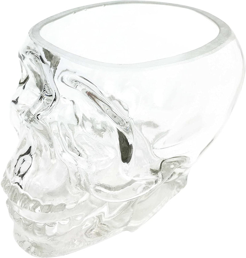 Ebros Skeleton Skull Glass Bowl Drink Stationery Office Holder Figurine Collectible