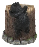 Rustic Western Forest Naughty Black Bear Cub Climbing Tree Stationery Pen Holder