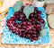 Ebros Nautical Seahorse By Corals Blue Salad Dessert Plate Set of 2 Square 8.5"