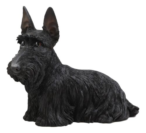 Large Lifelike Black Longhaired Scottish Highlands Terrier Statue Scottie Decor