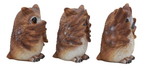 Ebros See Hear Speak No Evil Wise Owls Decor Set Wisdom Of The Woods Owl Hoot