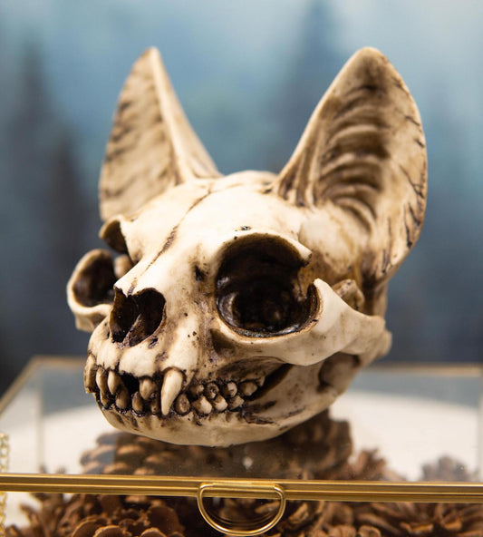Egyptian Goddess of Protection And Home Bastet Cat Skull Statue Macabre Skulls