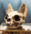 Egyptian Goddess of Protection And Home Bastet Cat Skull Statue Macabre Skulls