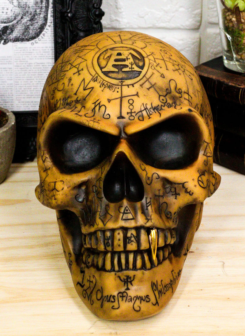 Ebros Alchemy Alpha Omega Ancient Mystical Symbols Skull