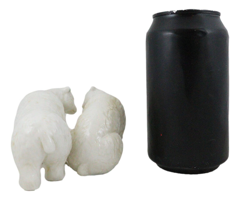 Arctic North Pole Polar Bears Couple Side By Side Ceramic Salt Pepper Shaker Set