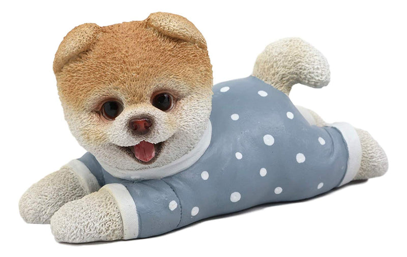 Ebros Polkadot Pajamas Boo The World's Cutest Pomeranian Dog Statue Pet Pal Dogs Collectible Breed Pomeranians Memorial Collectible Resin Decor Figurine with Glass Eyes Official Licensed Sculpture