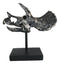 Jurassic '3 Horns' Triceratops Dinosaur Fossil Skeleton Statue With Stand 9"L